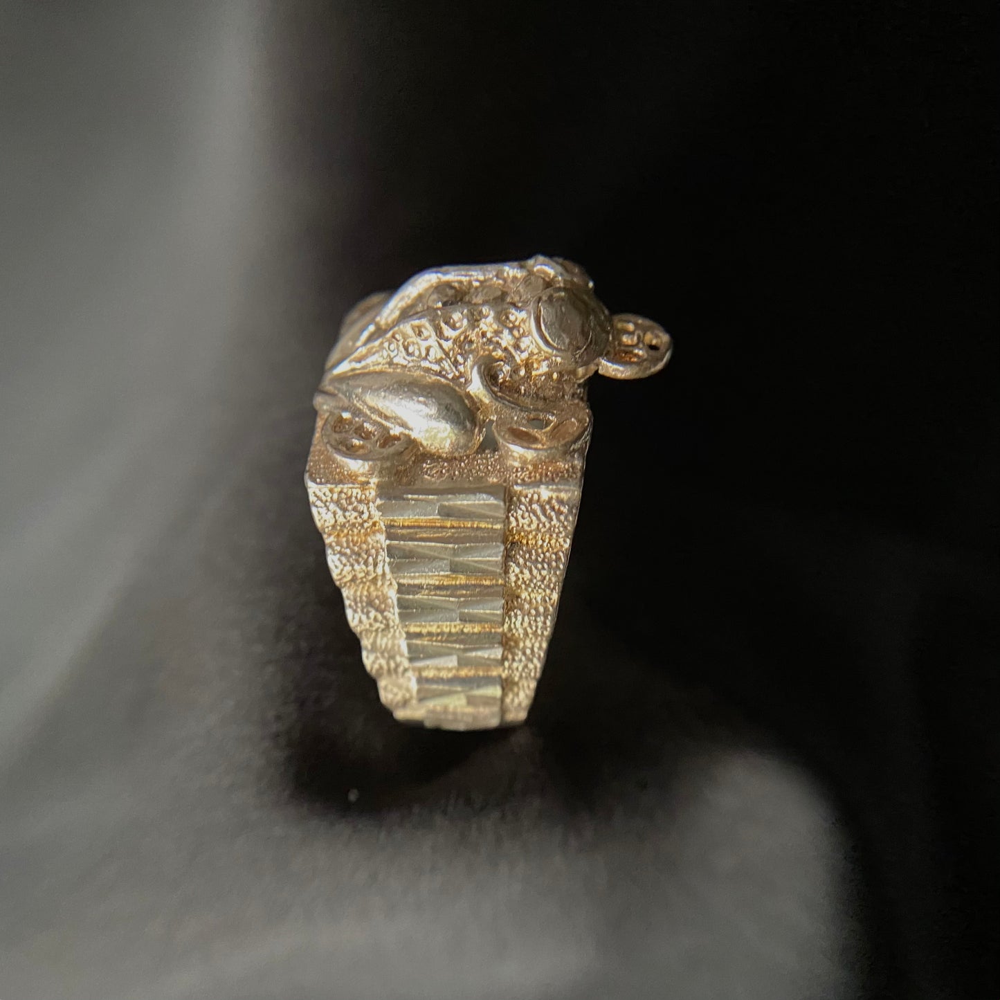 Frog Coin Silver Ring