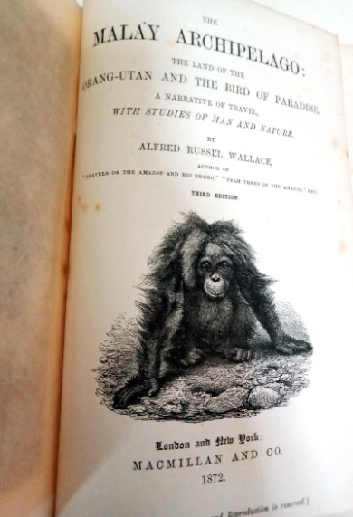 The Malay Archipelago – Alfred Russel Wallace, 1872, 3rd edition