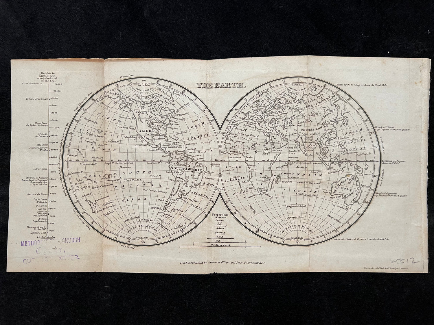 Novelette x Cartograph