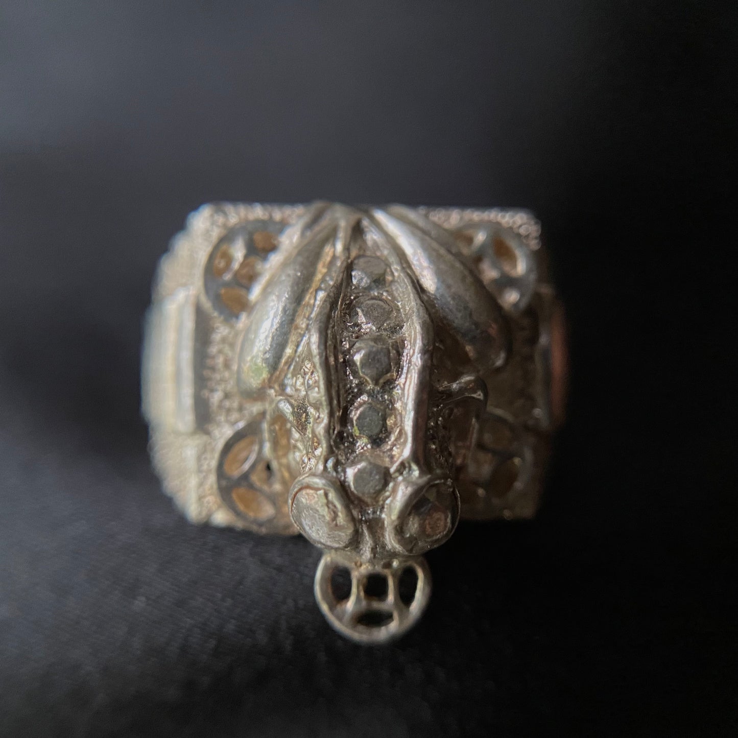 Frog Coin Silver Ring