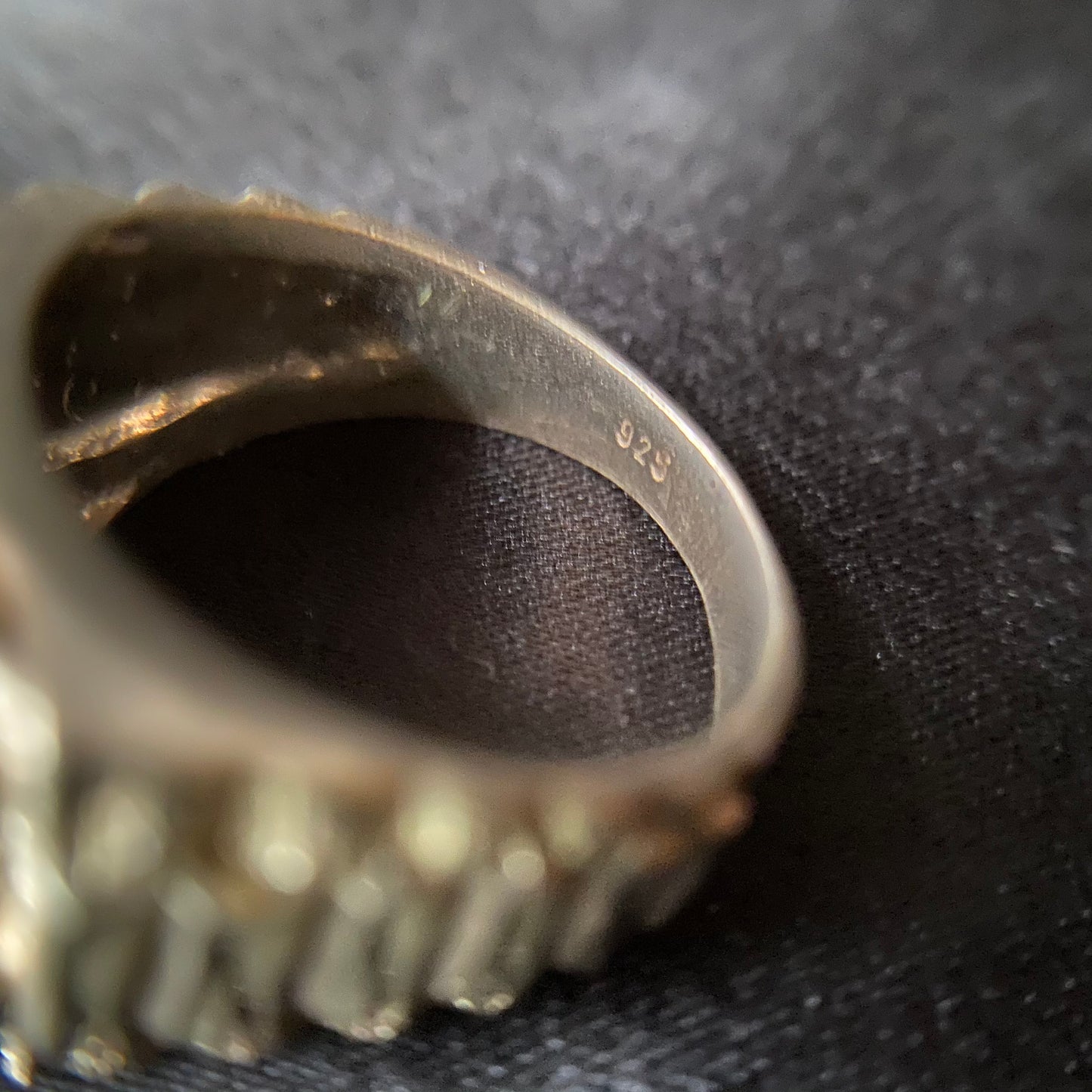 Frog Coin Silver Ring