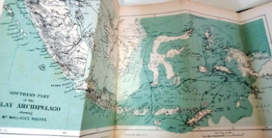 The Malay Archipelago – Alfred Russel Wallace, 1872, 3rd edition