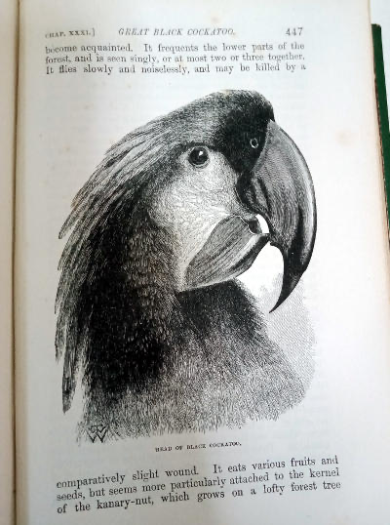 The Malay Archipelago – Alfred Russel Wallace, 1872, 3rd edition